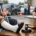 When Should Injury Victims Sue After an Accident?